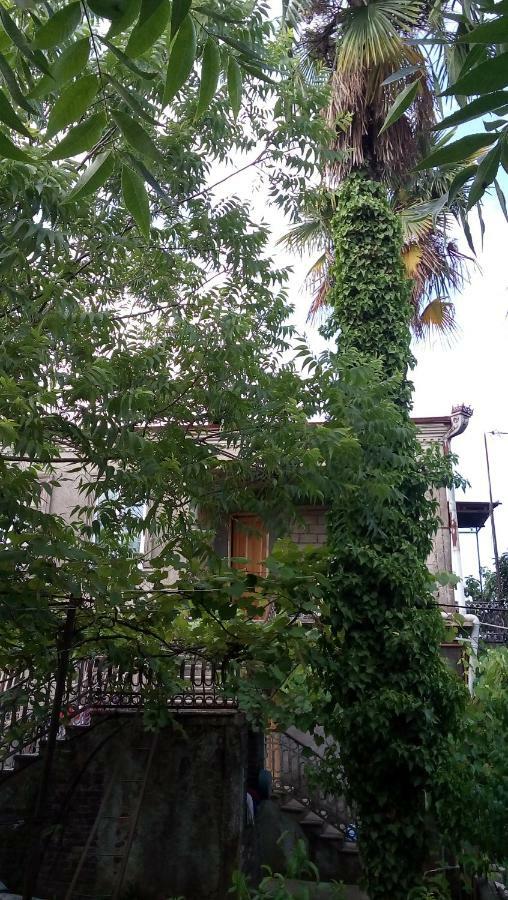 Hotel Elco Zugdidi Zewnętrze zdjęcie