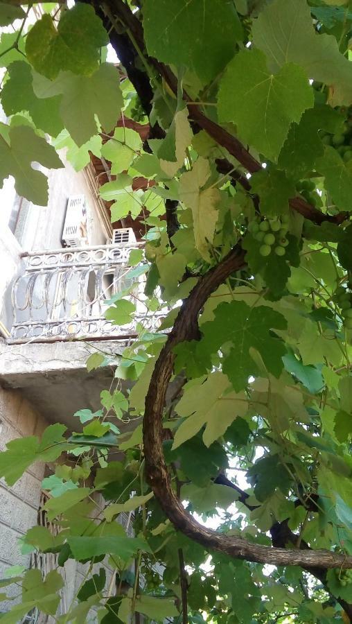 Hotel Elco Zugdidi Zewnętrze zdjęcie